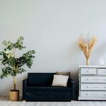Black sofa between potted plant and dresser